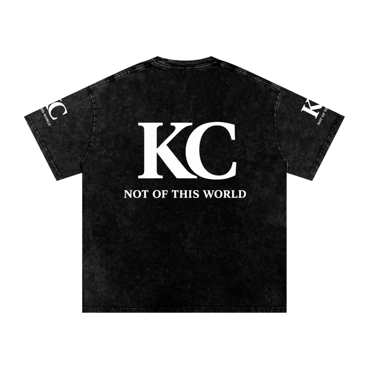 KNGDM Citizen Snow Washed T-Shirt